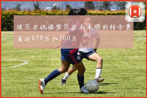 埃贝尔祝福努贝尔未来顺利转会费高达650万加500万