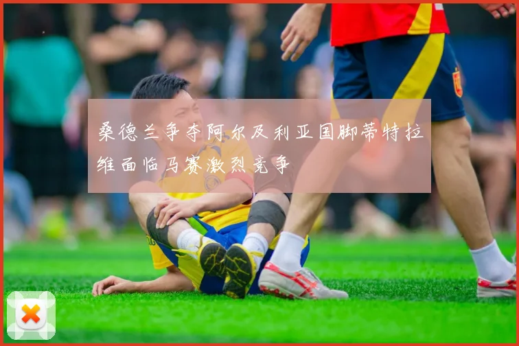桑德兰争夺阿尔及利亚国脚蒂特拉维面临马赛激烈竞争