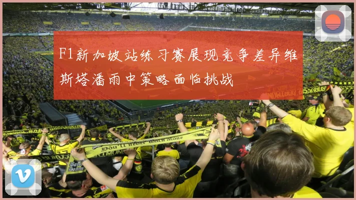 F1新加坡站练习赛展现竞争差异维斯塔潘雨中策略面临挑战